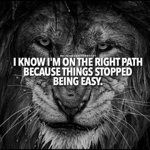 Meet your Posher, Chevelle